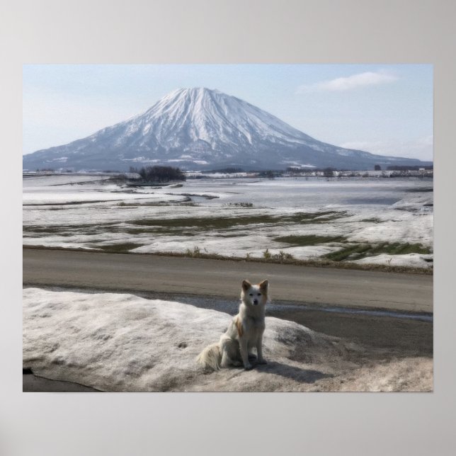 Shiba Inu Poster (Front)