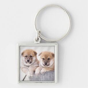 Shiba Inu puppies in aluminium tub Key Ring