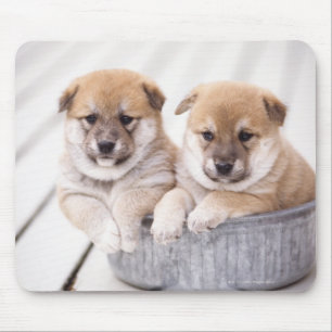 Shiba Inu puppies in aluminium tub Mouse Pad