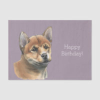 Shiba Inu Puppy Drawing