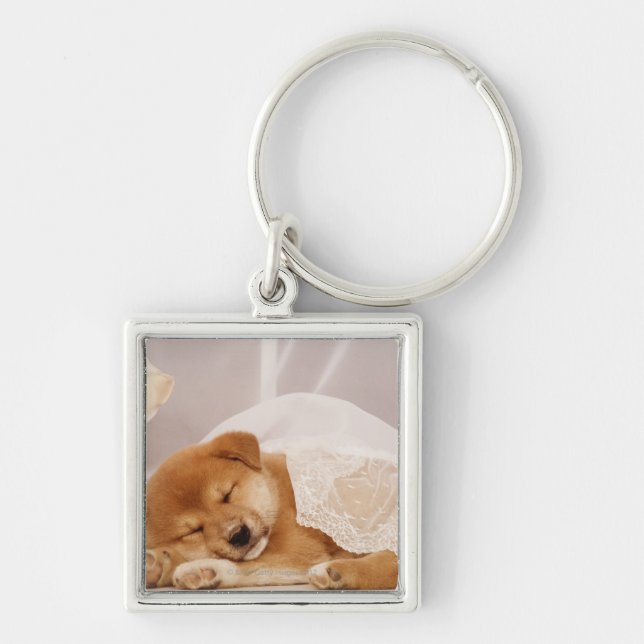 Shiba Inu puppy sleeping under a net curtain Key Ring (Front)