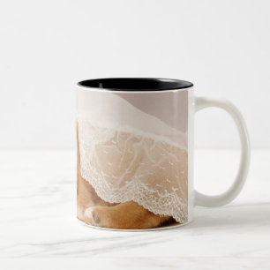 Shiba Inu puppy sleeping under a net curtain Two-Tone Coffee Mug