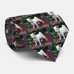 Shiba-inu Tie