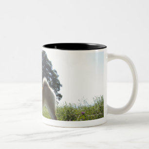 Shiba Inu Two-Tone Coffee Mug