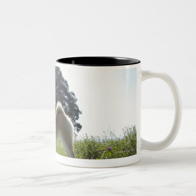 Shiba Inu Two-Tone Coffee Mug (Right)