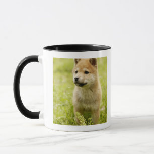 Shiba-ken puppy mug