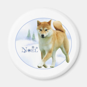 Shiba Noel - Magnet