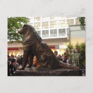 shibuya hachiko sitting postcard