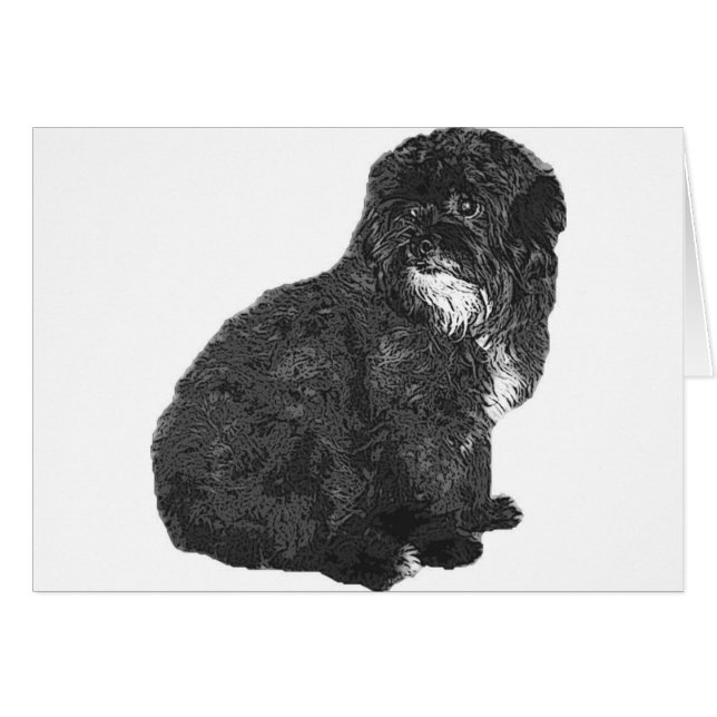 Shih Poo (Front Horizontal)