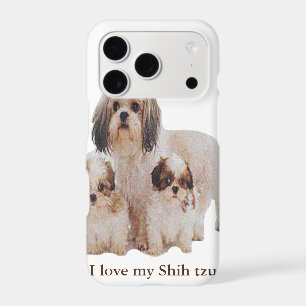 Shih-tsu