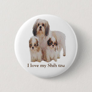 Shih-tsu 6 Cm Round Badge