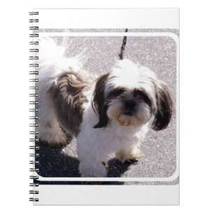 Shih Tsu Puppy Notebook