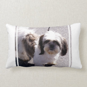 Shih Tsu Puppy Pillow