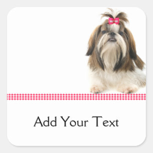 Shih Tsu with Pink Bow on Pink Diamond border Square Sticker
