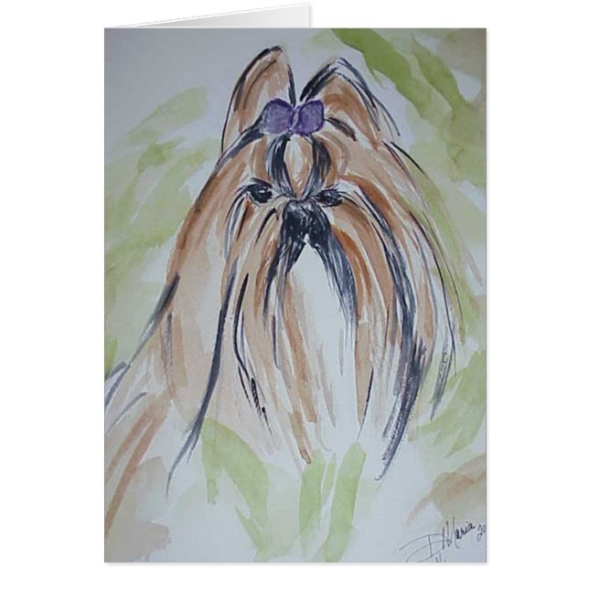 Shih Tzu (Front)