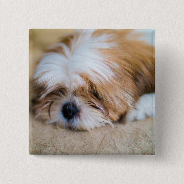 Shih Tzu 15 Cm Square Badge (Front)