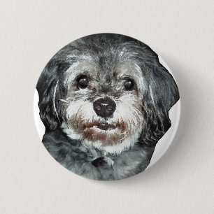 Shih-Tzu 6 Cm Round Badge