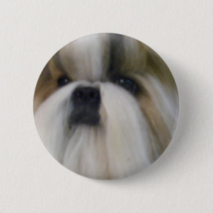 Shih Tzu 6 Cm Round Badge