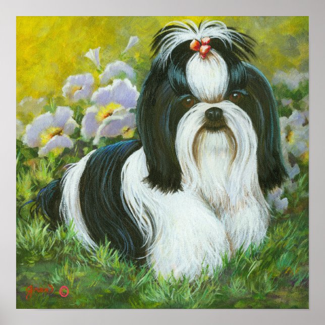 Shih Tzu Art Print on Canvas (Front)