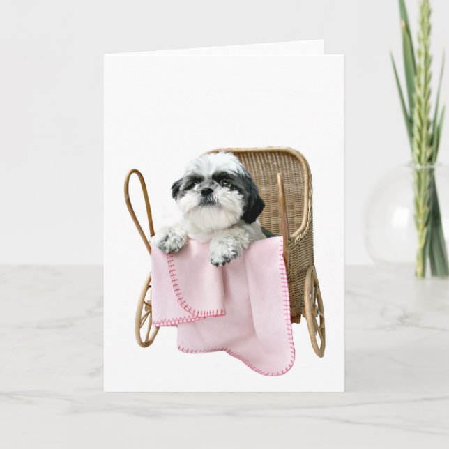 Shih Tzu baby buggy Card (Front)