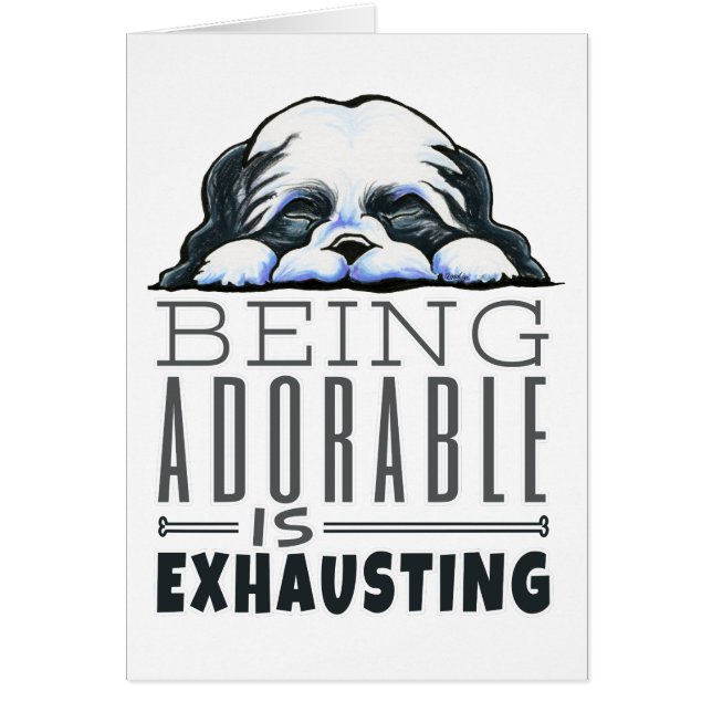 Shih Tzu Being Adorable (Front)