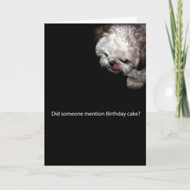 Shih-Tzu Birthday Card (Front)