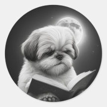 Shih Tzu Book Reading