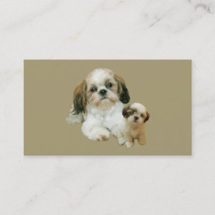 Shih Tzu Breeder Business Card