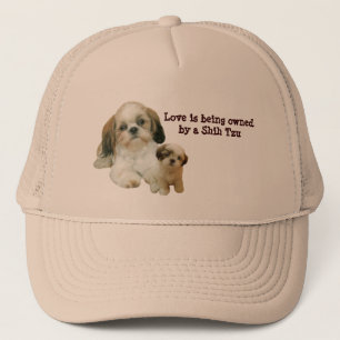Shih Tzu Buddies Hat