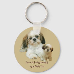 Shih Tzu Buddies Keychain