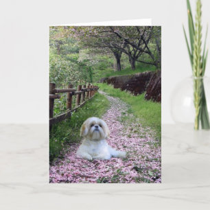 Shih Tzu Card Purple Flowers