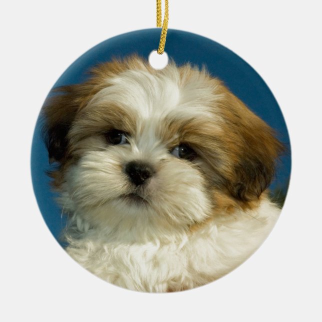 Shih Tzu Ceramic Ornament (Front)