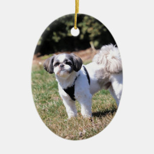 Shih Tzu Ceramic Ornament