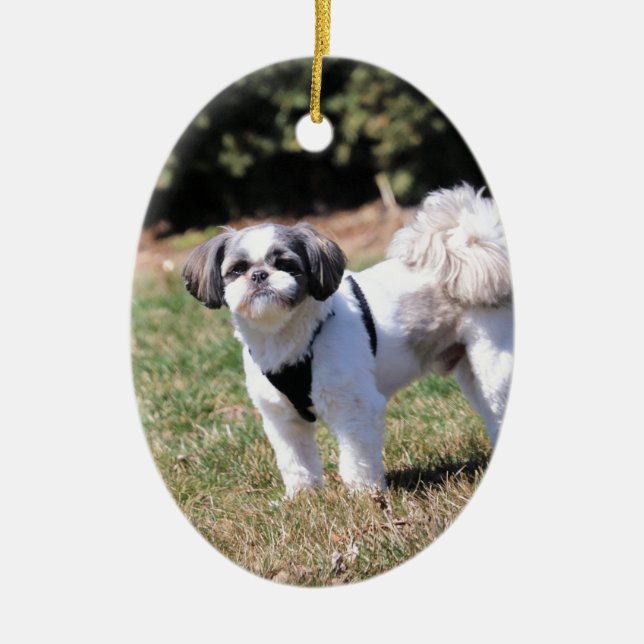 Shih Tzu Ceramic Ornament (Front)