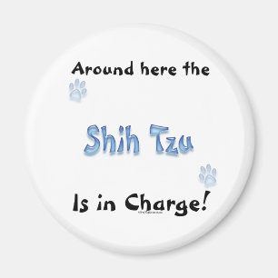Shih Tzu Charge - Magnet