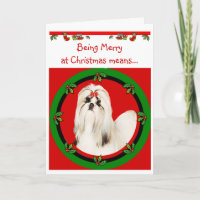 Shih Tzu Christmas Card