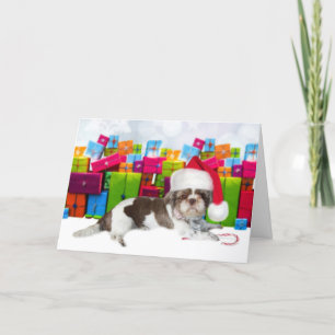 Shih Tzu  Christmas Dog Card