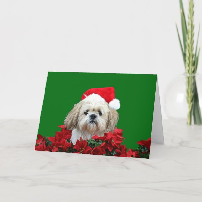 Shih Tzu  Christmas Holiday Card (Front)