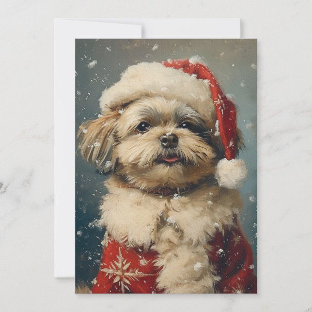 Shih Tzu Christmas  Holiday Card (Front)
