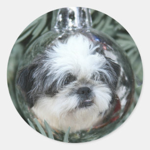 Shih Tzu Christmas ornament Classic Round Sticker