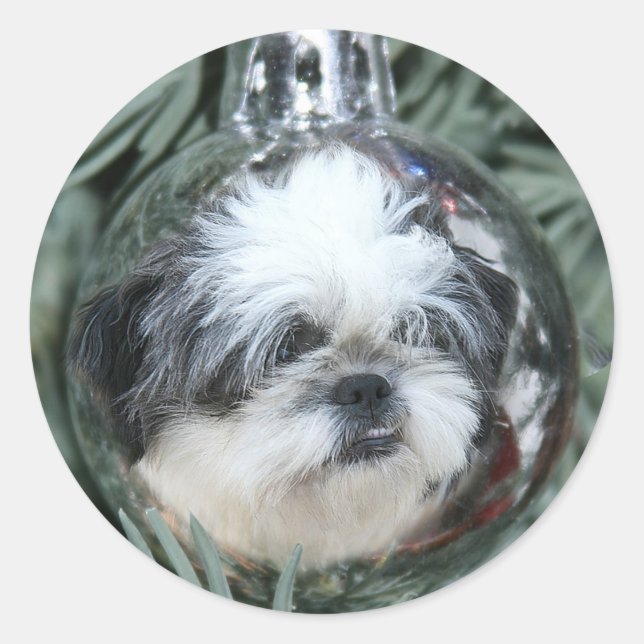 Shih Tzu Christmas ornament Classic Round Sticker (Front)
