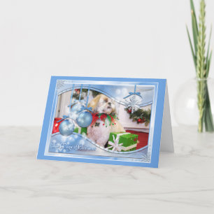 Shih Tzu Christmas Photocard Holiday Card