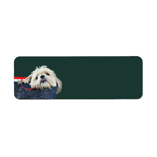 Shih Tzu Christmas Return Address Label (Front)