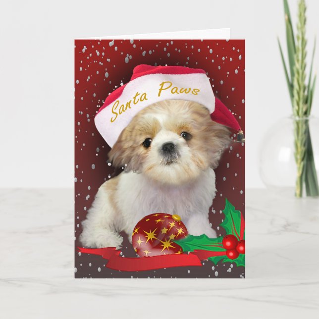 Shih Tzu  Christmas Santa Paws Card (Front)