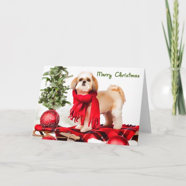 Shih Tzu (clipped coat) Christmas Card (Front)