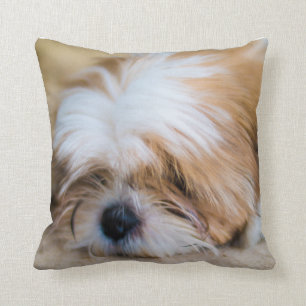 Shih Tzu Cushion