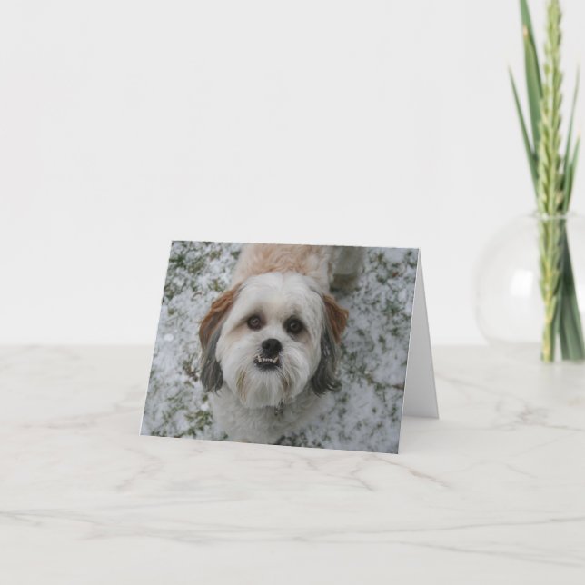 Shih-Tzu Cute Adorable Dog Holiday Christmas Card (Front)