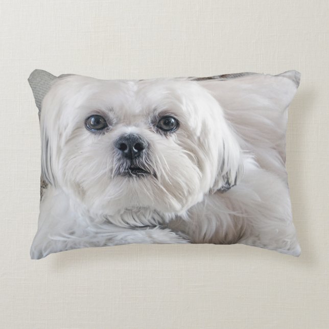 Shih Tzu Decorative Cushion (Front)