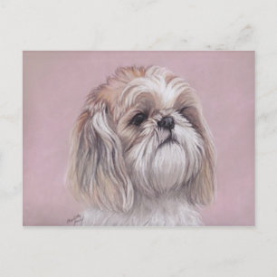 Shih tzu Dog Art Postcard