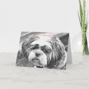 SHIH TZU DOG    CARD
